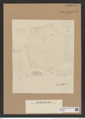 Triceratium schmidtii Janisch (de-Toni-Nr.: Genus 139, Species 3705) Zeichnungen Sammlung Grunow Nr. 7179 (NHMW-BOT-W0376159)